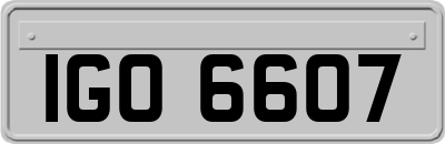 IGO6607