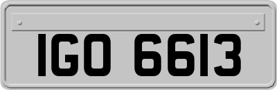 IGO6613