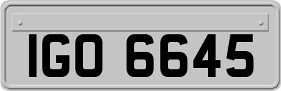IGO6645