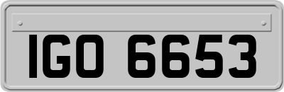 IGO6653