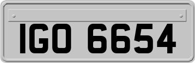 IGO6654