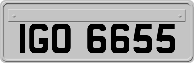 IGO6655