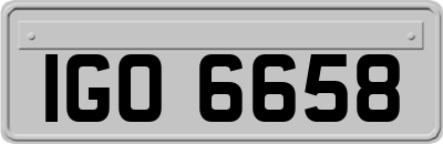 IGO6658