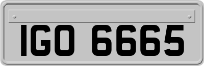 IGO6665