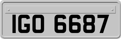IGO6687