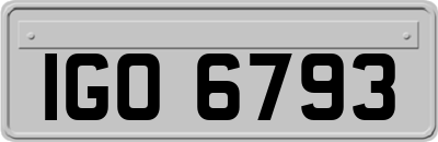 IGO6793