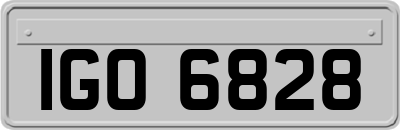 IGO6828