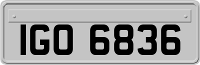 IGO6836