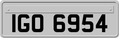 IGO6954