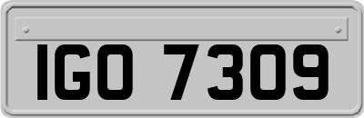 IGO7309