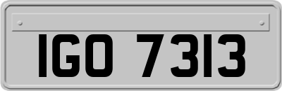 IGO7313