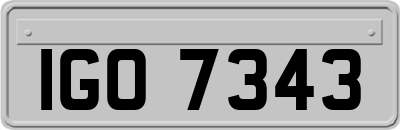 IGO7343