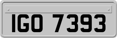 IGO7393