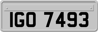 IGO7493