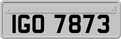 IGO7873