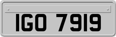 IGO7919