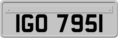 IGO7951