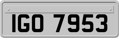 IGO7953