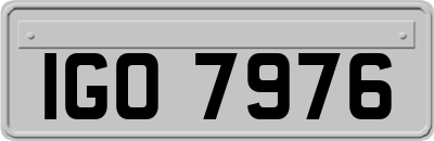 IGO7976
