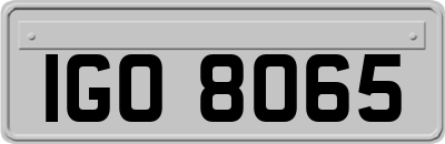 IGO8065