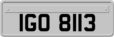 IGO8113