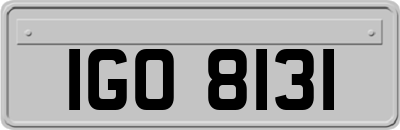 IGO8131