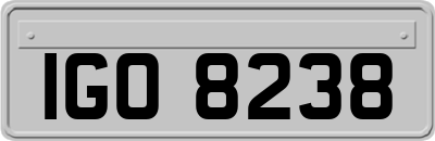 IGO8238