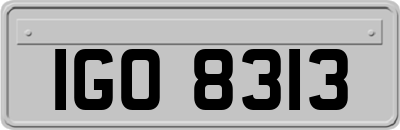 IGO8313