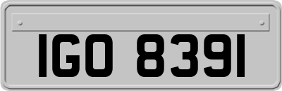 IGO8391