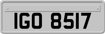 IGO8517