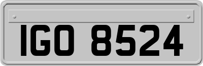 IGO8524