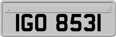 IGO8531