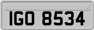 IGO8534