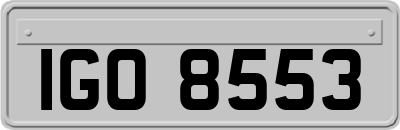 IGO8553