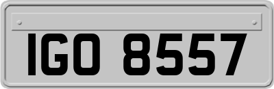 IGO8557