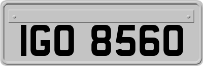IGO8560