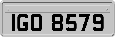 IGO8579