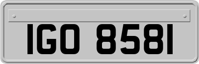 IGO8581