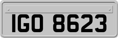 IGO8623