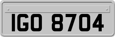 IGO8704