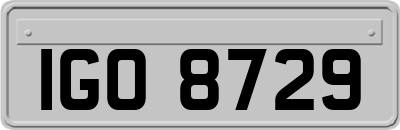 IGO8729