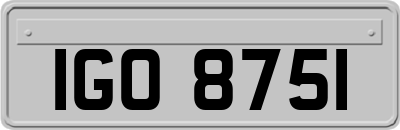 IGO8751