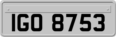 IGO8753