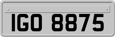 IGO8875