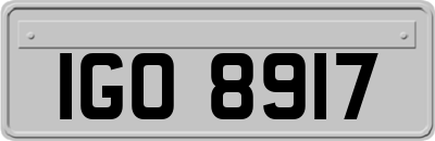IGO8917