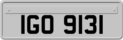 IGO9131