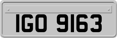 IGO9163