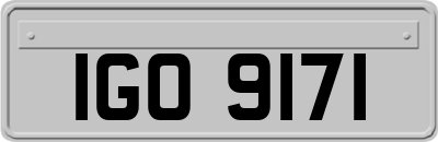 IGO9171