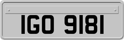 IGO9181
