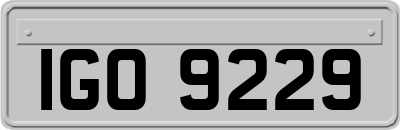 IGO9229